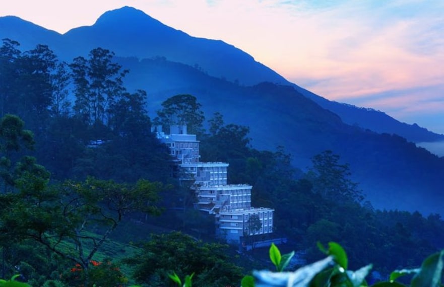 Chandys Windy Woods_1